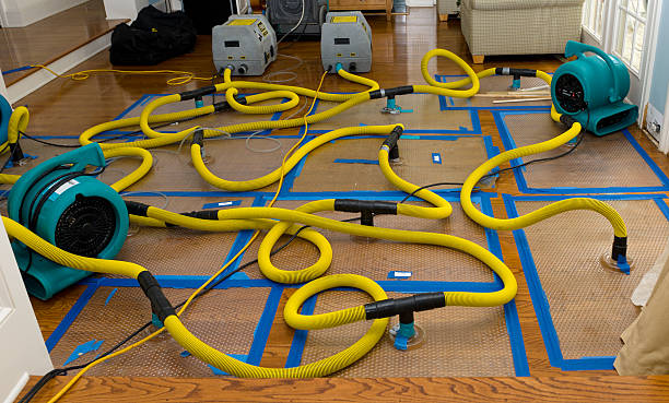 Professional Crawl Space Water Removal technician working in Westville, IN